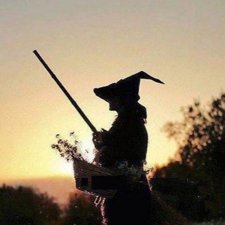 🌿 Дикие Травы 🌿