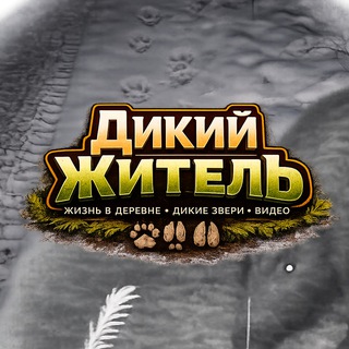 Дикий Житель | Лес и дикая природа