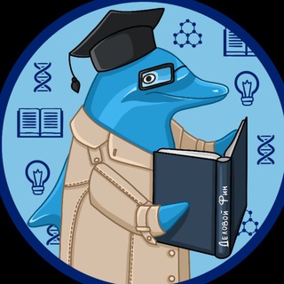 Доктор Фин I Психосоматика I Психолог Романова Наталия