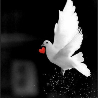 💎༺δίɭδάɠί♥️ɠάρɭάɾ༻💎