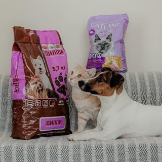 Дилли | Catland корма для животных