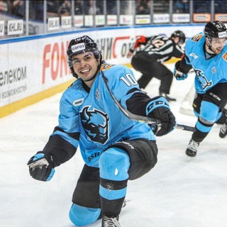 Приметы «Зубров» 🤍💙