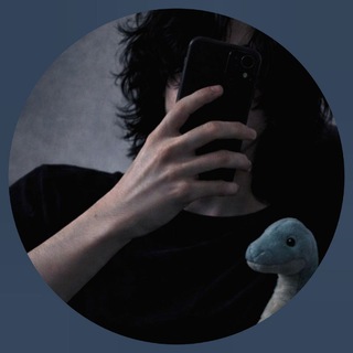 ✿ ᴅɪɴᴏᴅᴅ ✿