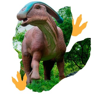 🦖Динозавры в наше время🦖