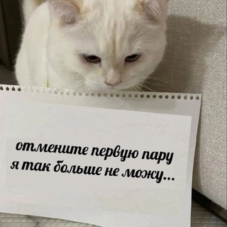 Студенческая каша