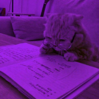 Study with me | Di 💜