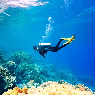 Diving people | О дайвинге и дайверах