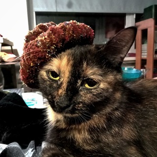 Криводельня 🤡