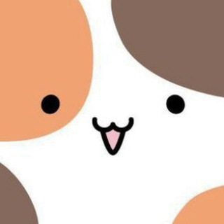 D4DJ от хьёки