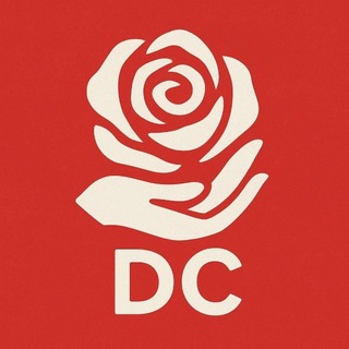 Democratic Choice🐱🌹