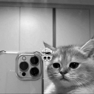 Будка Dmino4😜