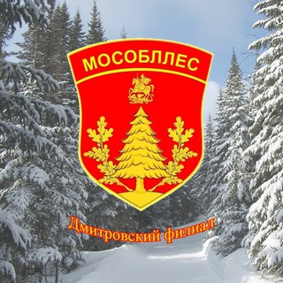 Дмитровский филиал ГАУ МО «Мособллес»