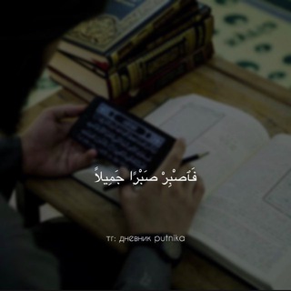 дневник putnika