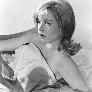 Тайный дневник Тайной женщины