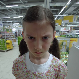 дневник сони сурм