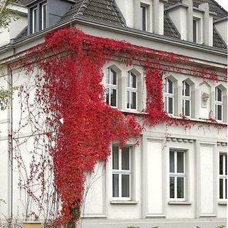 дом. интерьер. дизайн