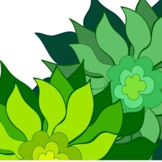 Добрая Работа: ЗОЖ, творчество, саморазвитие