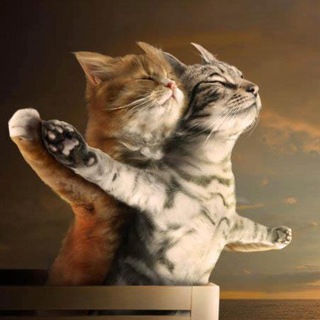 Сочи - Краснодарский