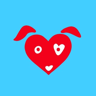 Приют Доброе сердце, Пермь