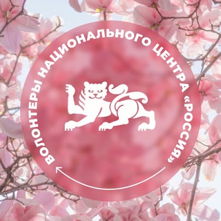 Волонтеры Национального центра «Россия»