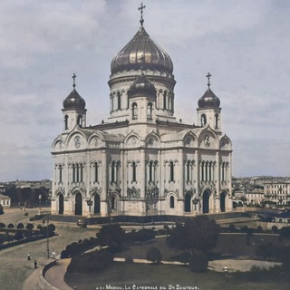 Мысли Доктора — ведение тг каналов