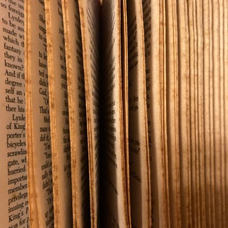 Доцентка Свеколкина