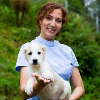 Доктор Тая - ветеринарный врач