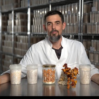 Лаборатория долголетия Руслана Масгутова