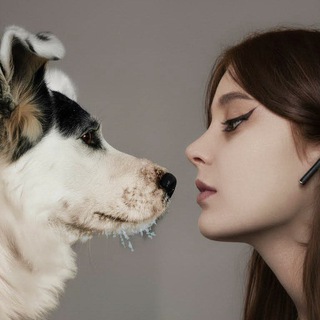 дворняжка Ася