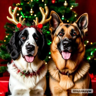 Собака - это образ жизни