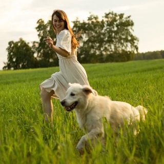 Яжесобачники🐶