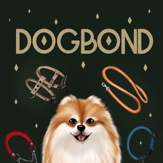 DOGBOND🐾Official