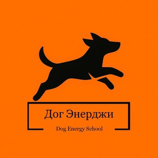 Дог Энерджи. Кинологическая школа