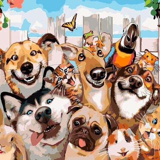 🐶 dogfamilyhotel 🐶