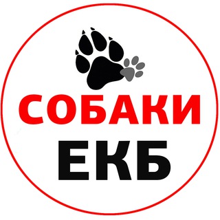 Собаки бесплатно в добрые руки ЕКБ и СО