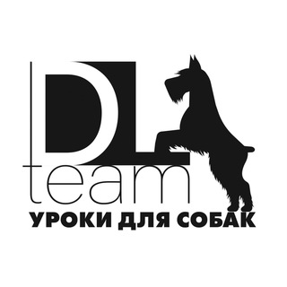 DogsLessons | УДЦ Сириус | Дрессировка собак