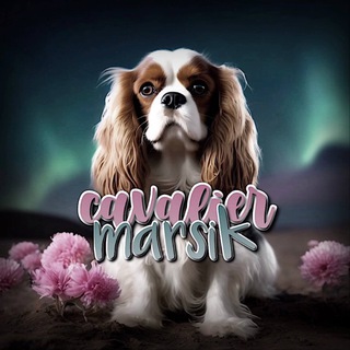 Гламурный кавалер Марсик🩷