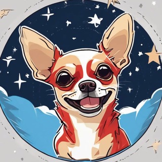 Планета чихуахуа | Москва