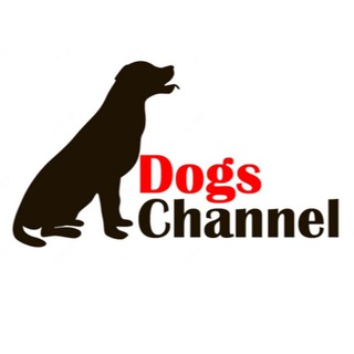 Dogs Channel