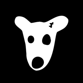 Новости DOGS 🦴