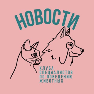 Зверская наука 🐈🐕