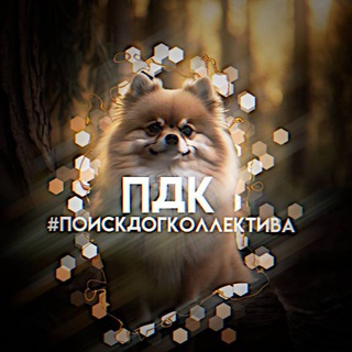 Поиск дог коллектива / Ищу хаус