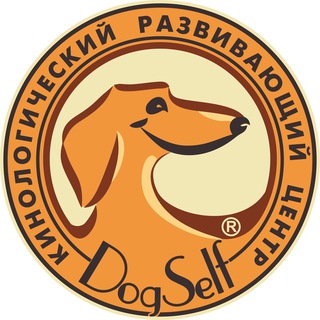 DogSelf — Кинологический развивающий центр