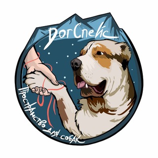 Догспейс. Пространство для собак