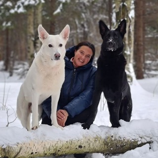 Догтренинг