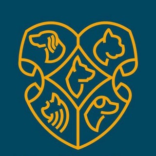 Догвардс/ Dogwards