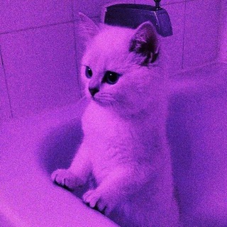 ℍ𝔾𝕁📰ℕ𝔼𝕎𝕊™