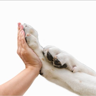 Оформление документов РКФ ✍️