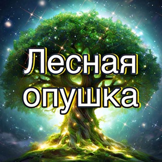 ДОЛ «Лесная Опушка»🌲
