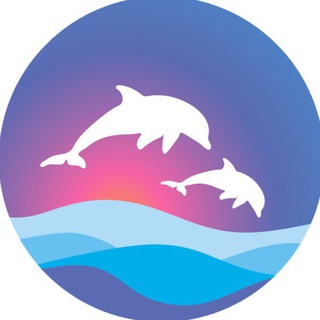 Большой Сочинский Дельфинарий